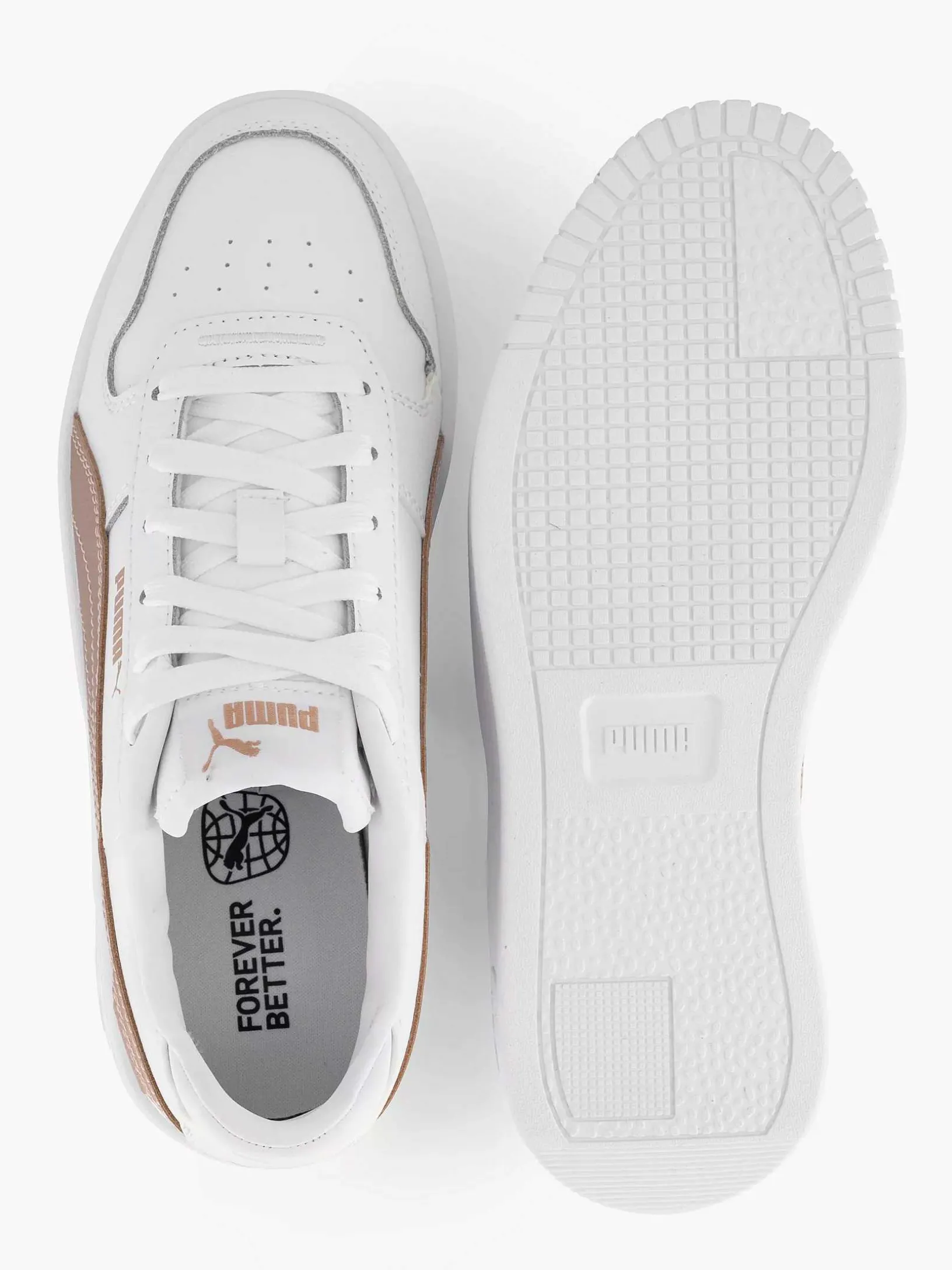 Witte Carina Street Rose
