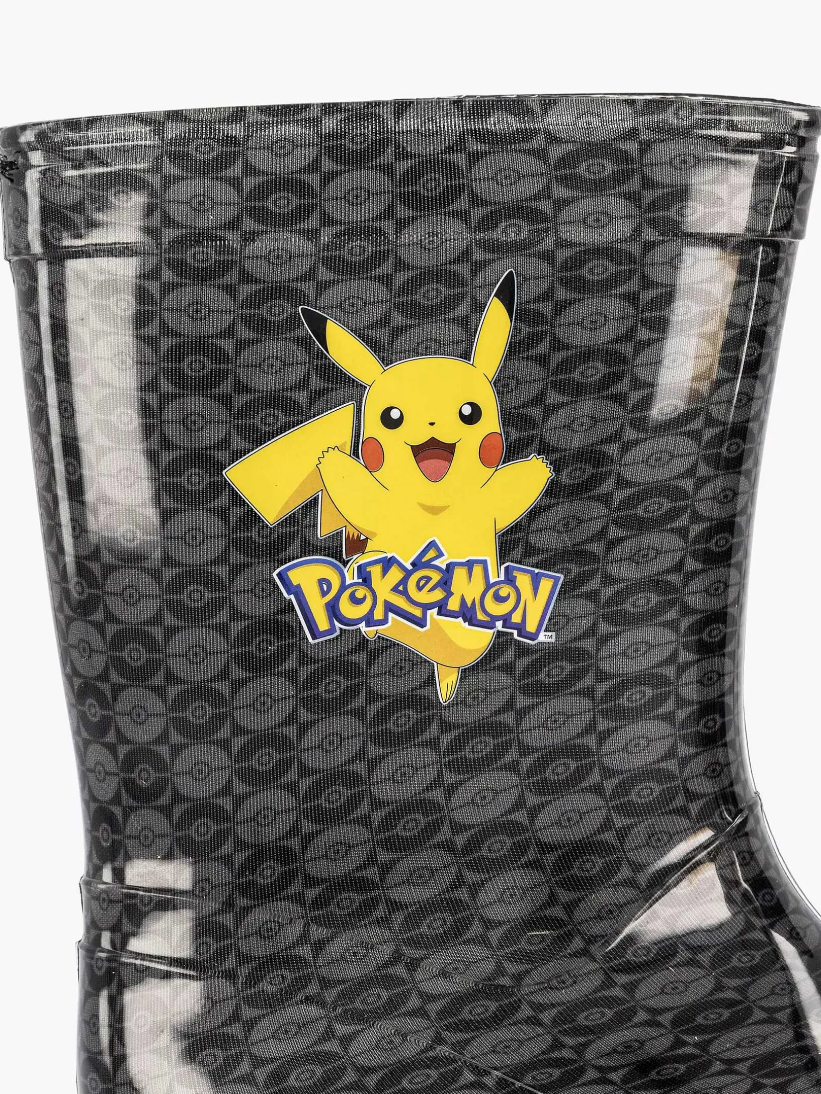 Zwarte Regenlaars Pokemon